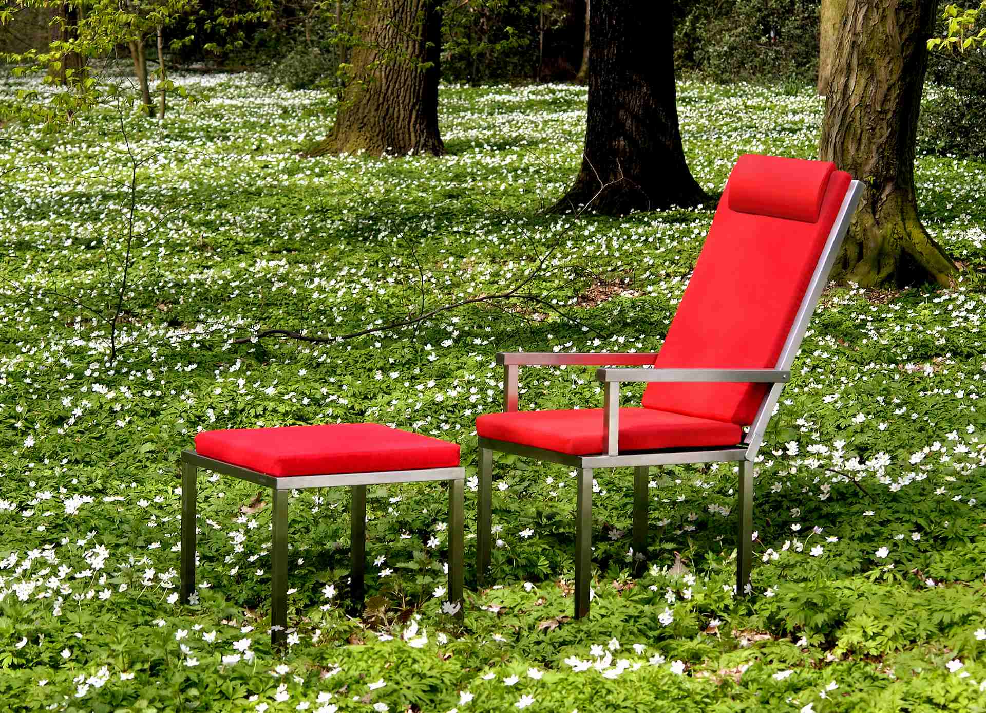 lightbox image lightbox image