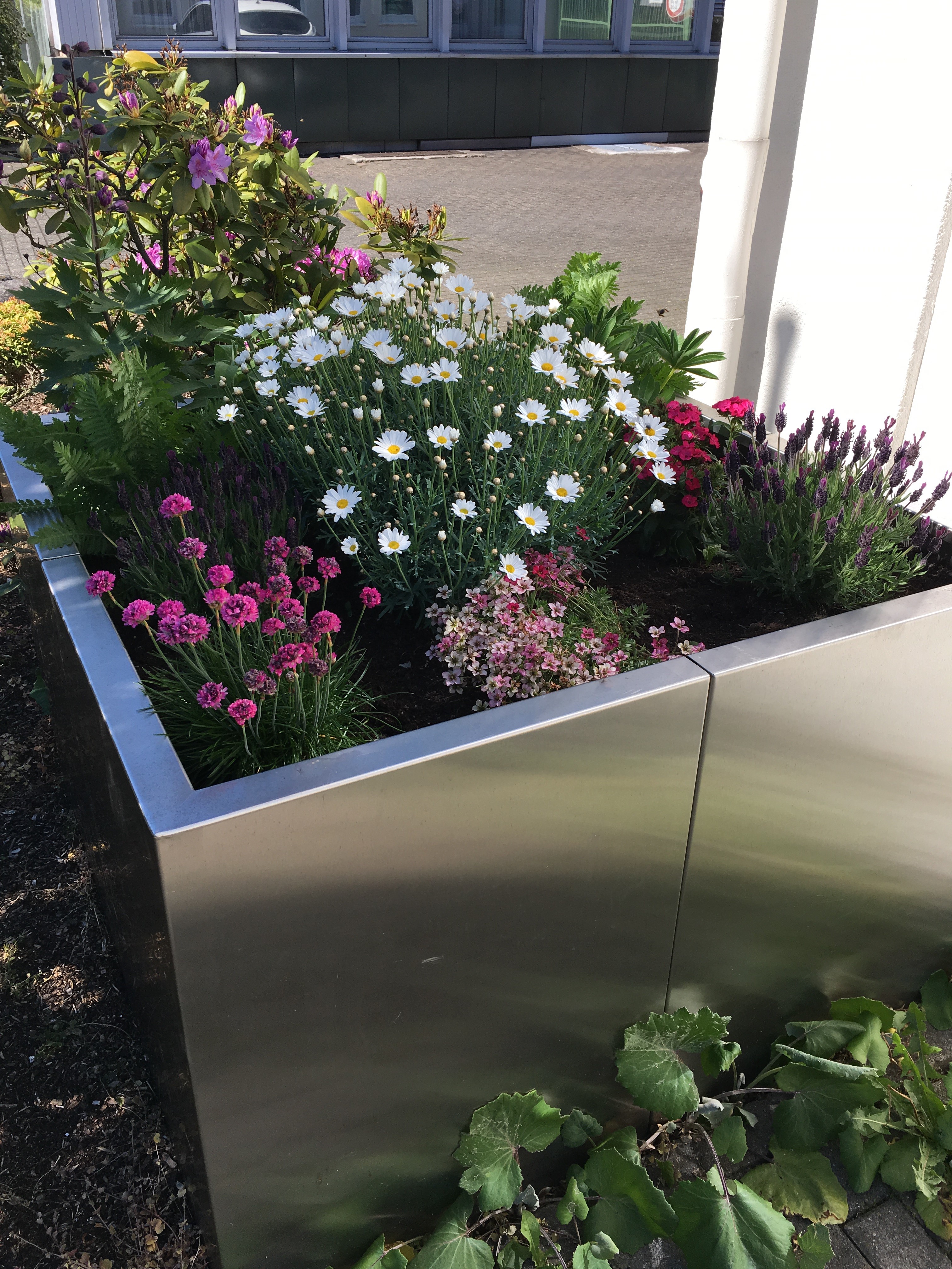 Hochbeet aus Edelstahl Hochbeet aus Edelstahl