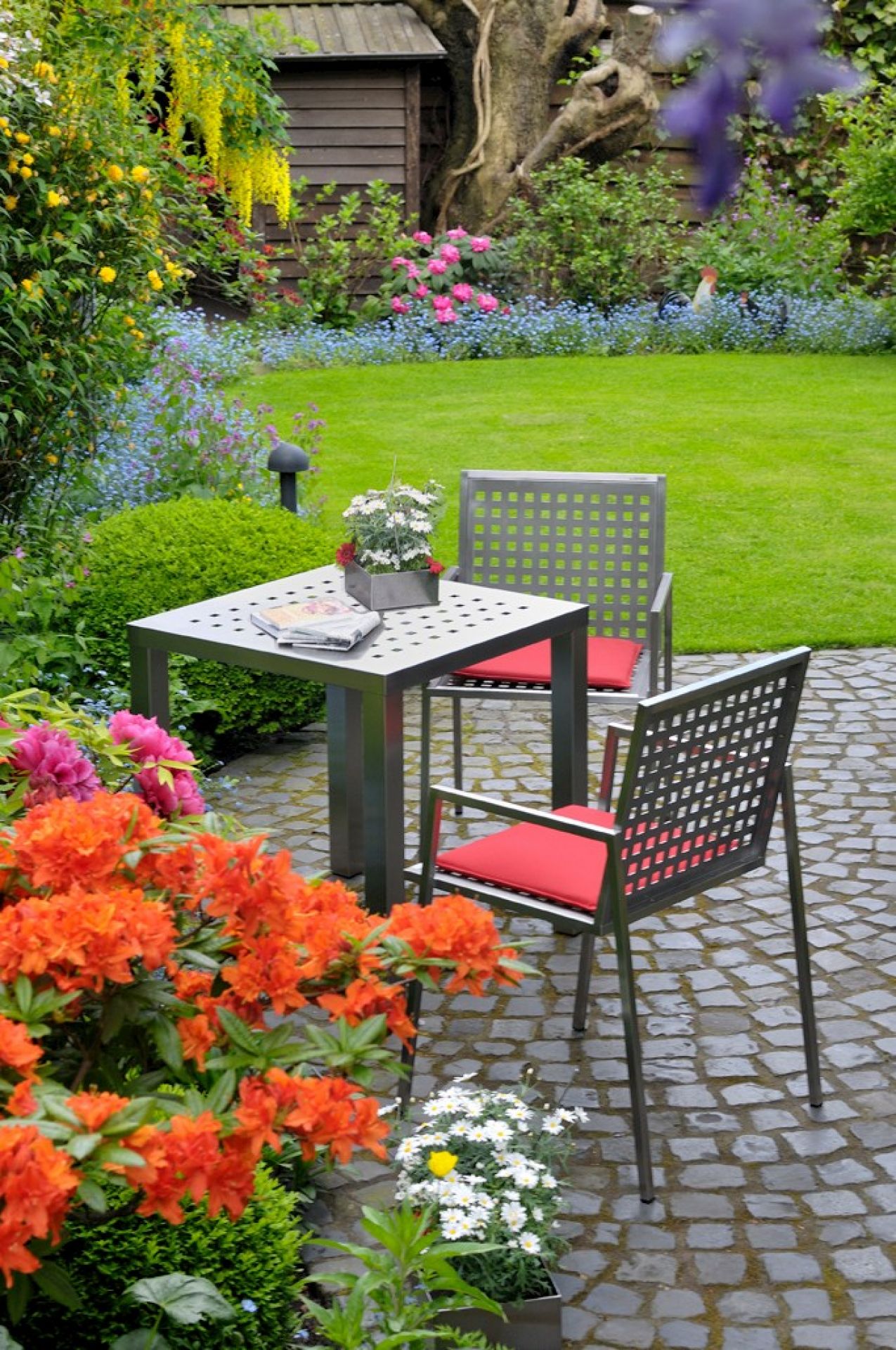 lightbox image lightbox image